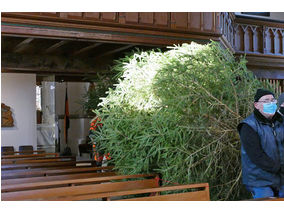 Es weihnachtet in St. Crescentius (Foto: Karl-Franz Thiede)